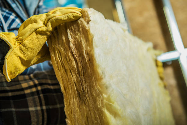 Best Best Insulation Companies  in South Lyon, MI