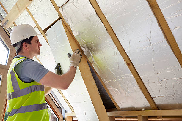 Best Insulation Contractors for Homes  in South Lyon, MI